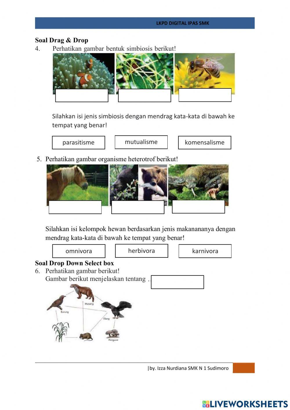 32031-Izza Nurdiana-LKPD-Liveworksheet