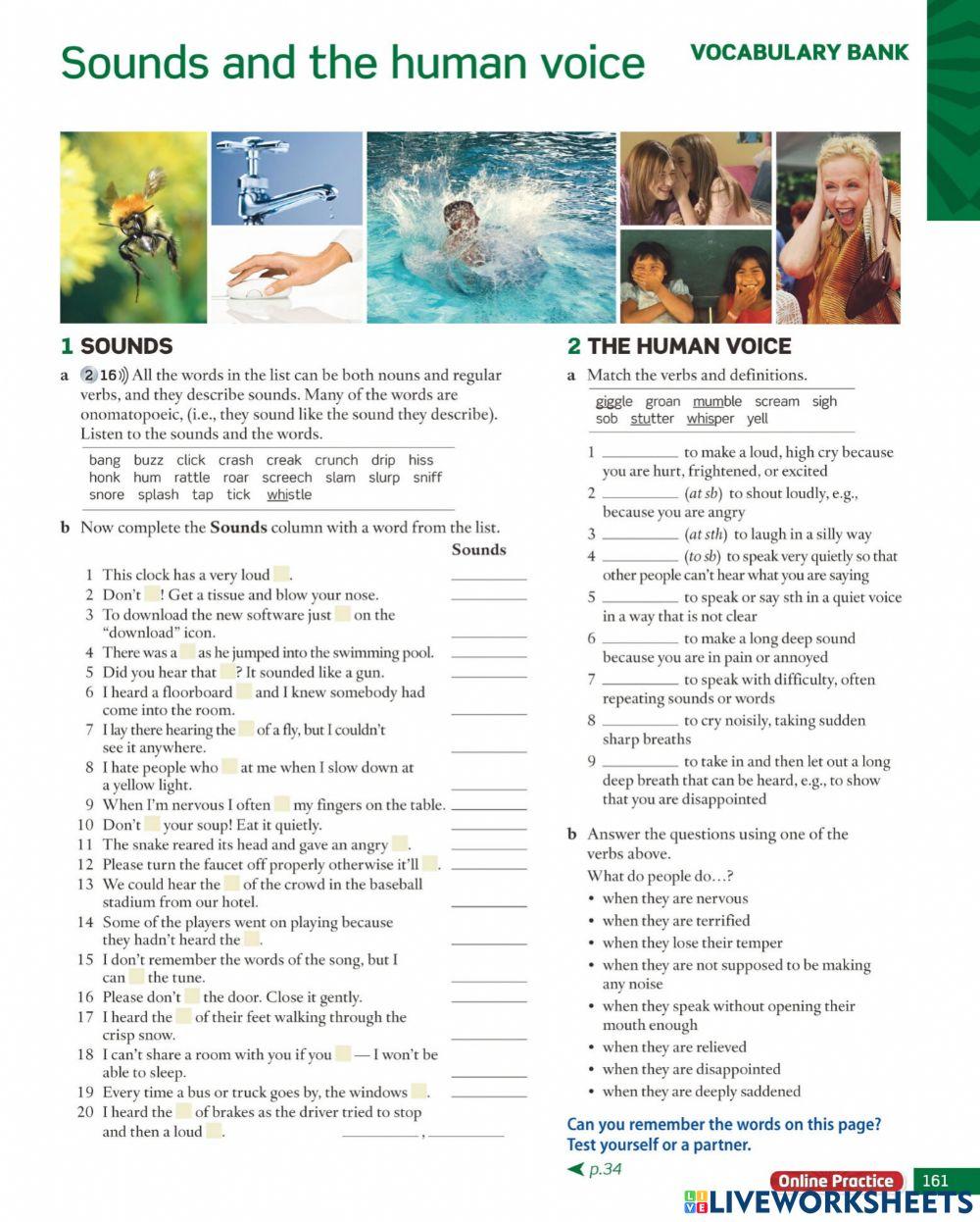 Sounds and the human voice