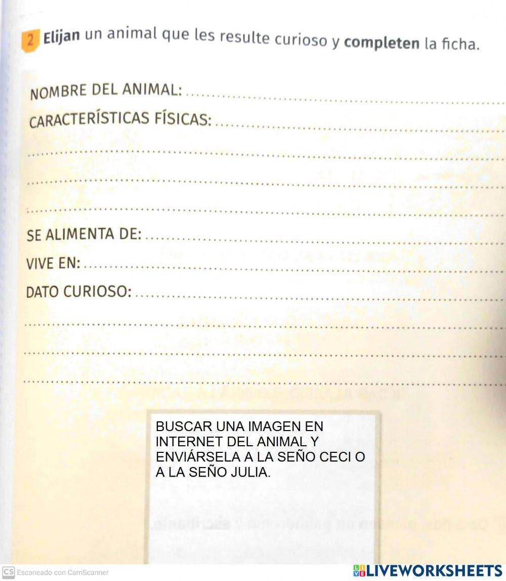 Ficha sobre animal favorita