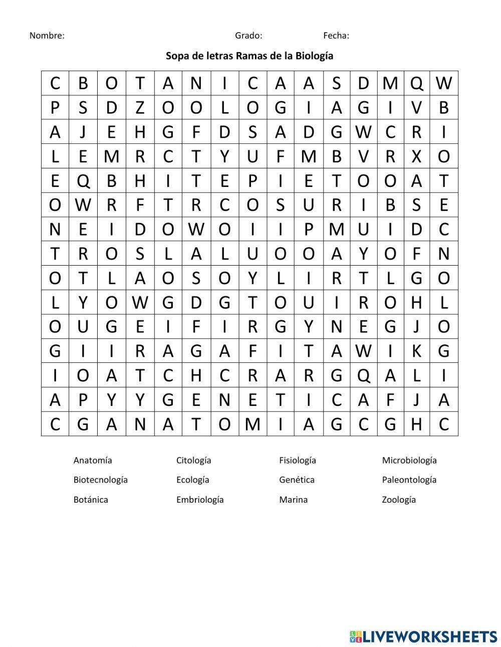 Ramas de la Bio… | Free Interactive Worksheets | 2141232, image size:1000x1291