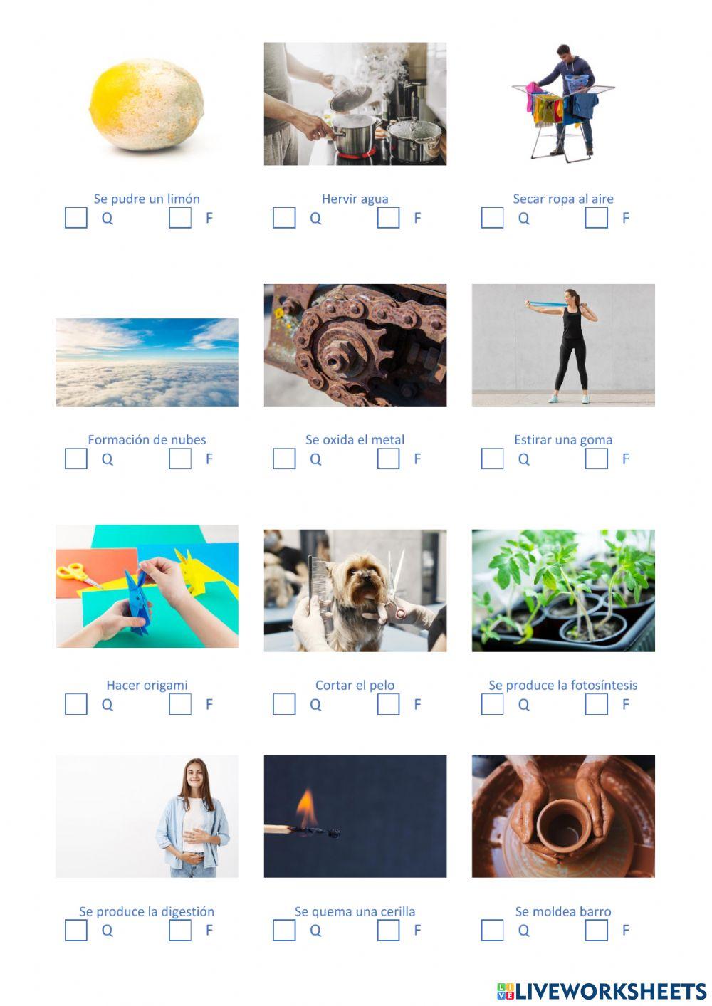 Cambios físicos y químicos