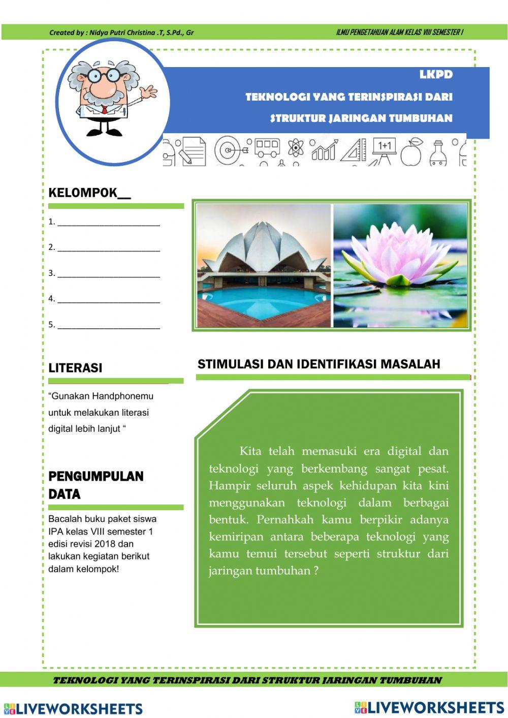 Struktur dan fungsi jaringan tumbuhan