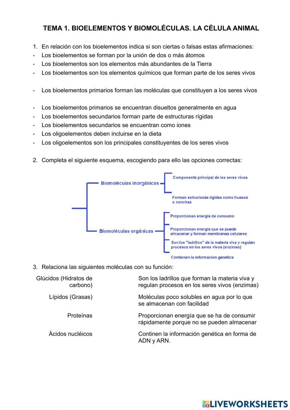 Bioelementos y biomoléculas. La célula animal