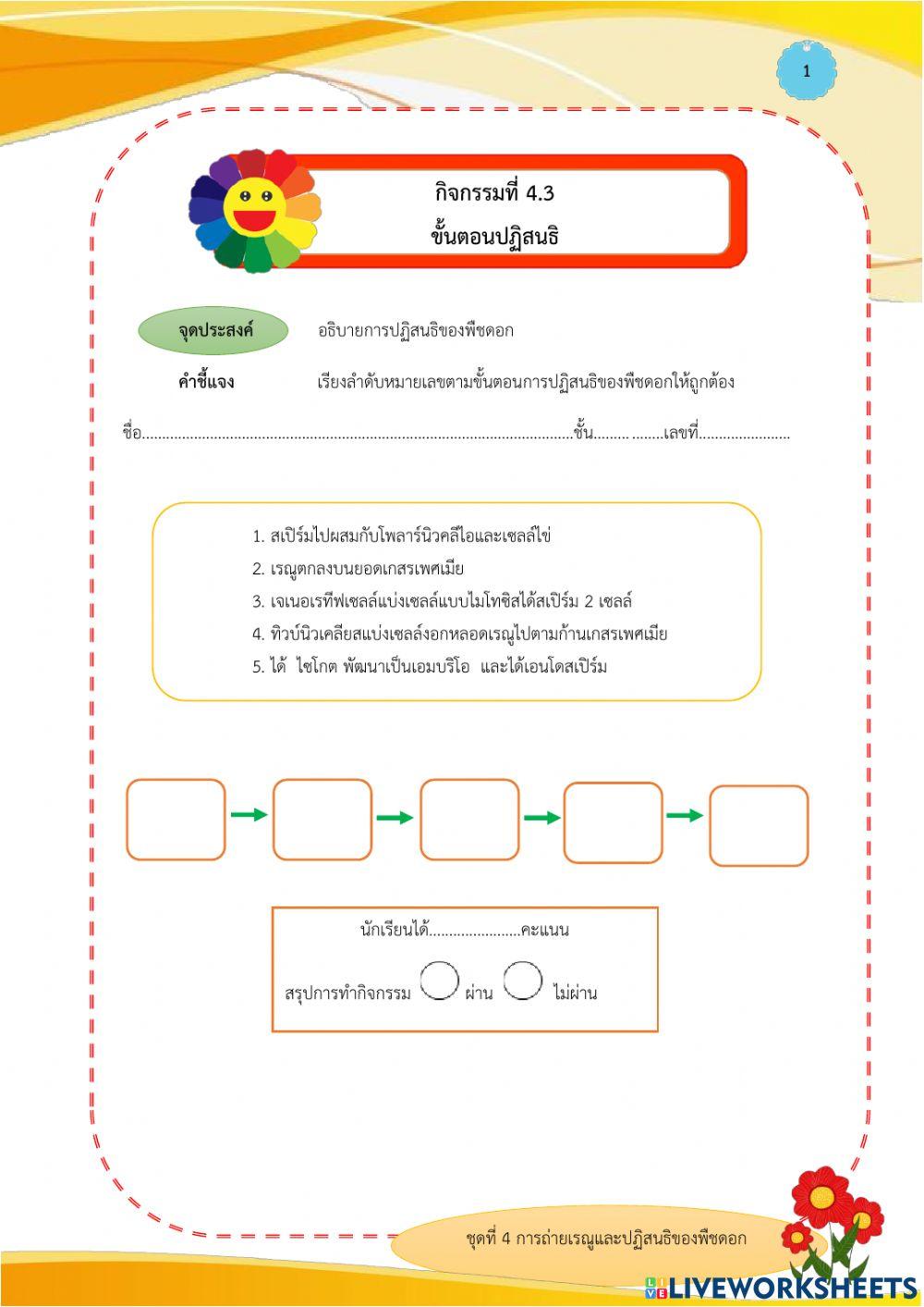 ขั้นตอนการปฏิสนธิ
