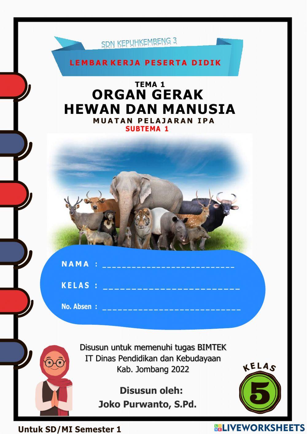 Organ gerak hewan