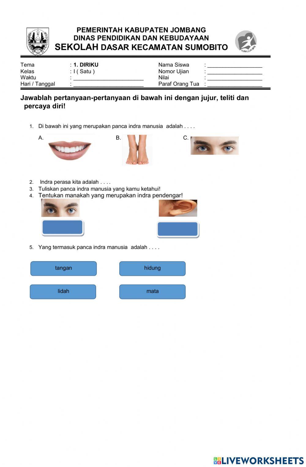 Lkpd Panca Indra Manusia Worksheet Live Worksheets 52% OFF Lkpd Panca Indra Manusia Worksheet Live Worksheets 52% OFF