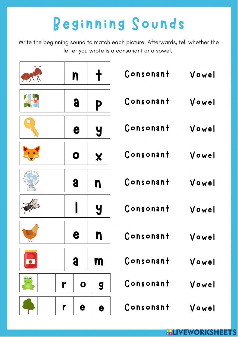 Consonants and Vowels