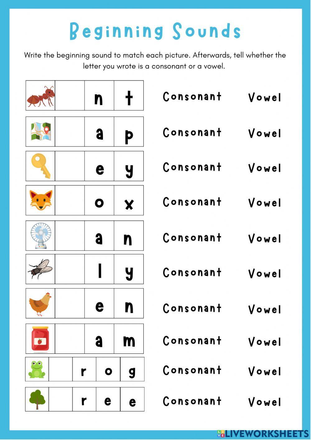 Consonants and Vowels 2142200 teacheramandac