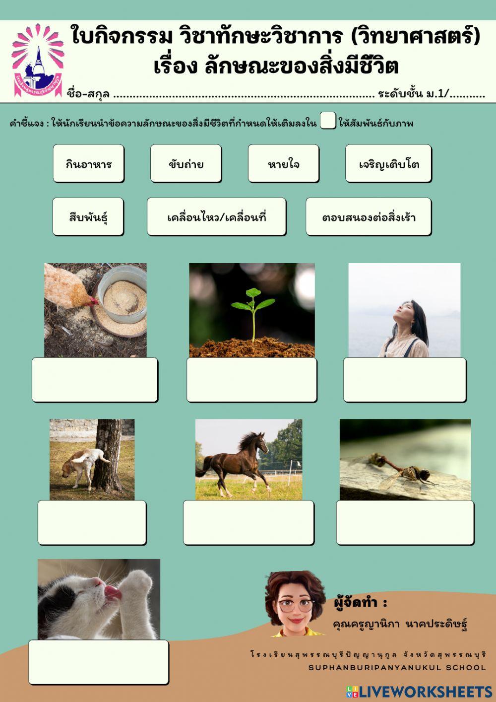 ลักษณะของสิ่งมีชีวิต