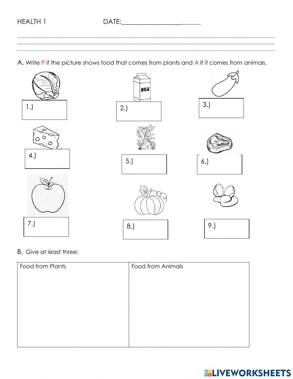 Food from plants and animals