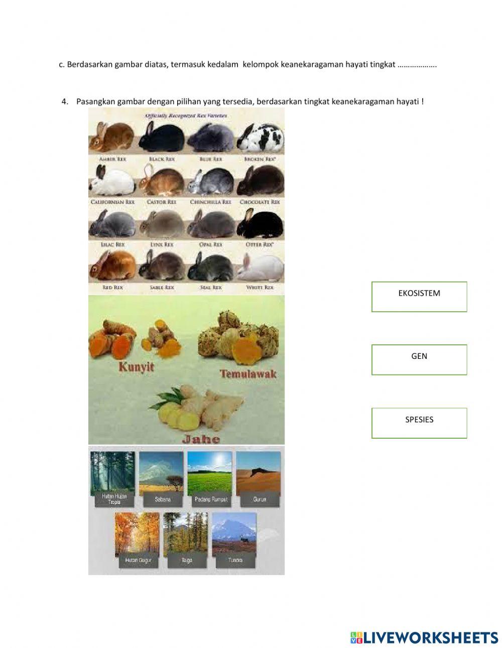 Keanekaragaman Hayati