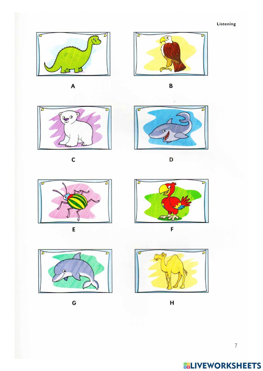 Cambridge Flyers 2 - Test 1 - Listening