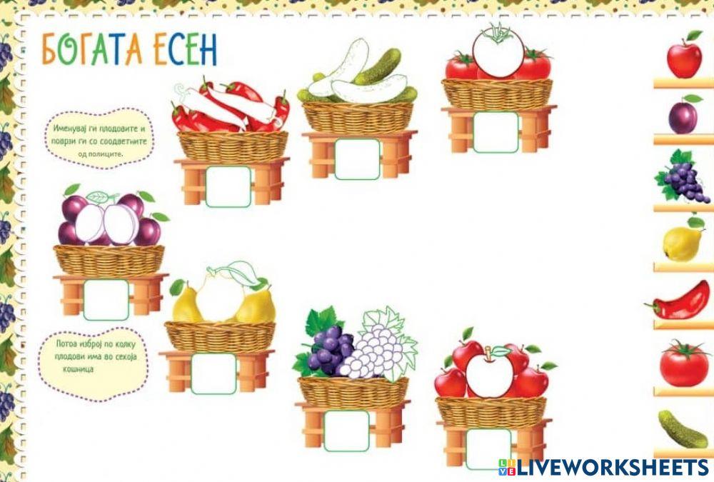 Богата есен (Во соработка со Росица)