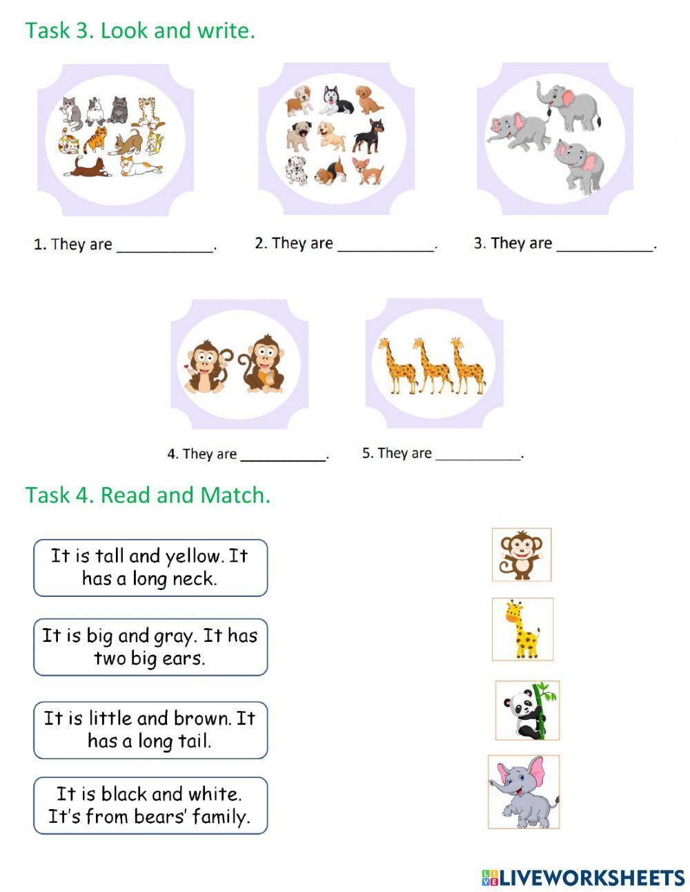 Family and friends 3 - Ms Phuong - Unit 4 - lesson 6