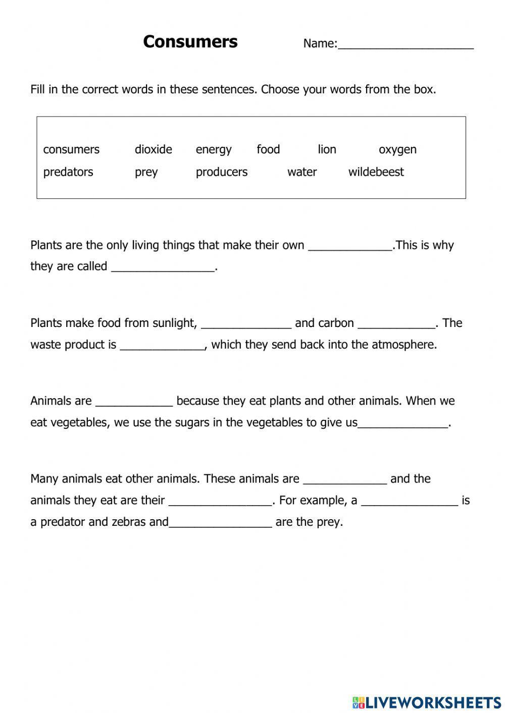 Foodchain in a local habitat