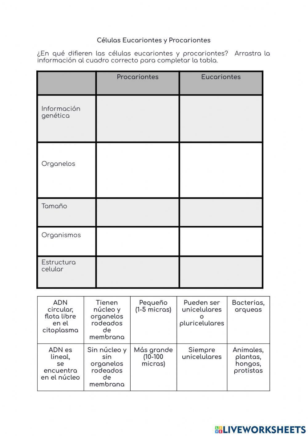 Células Procariotas y Eucariotas