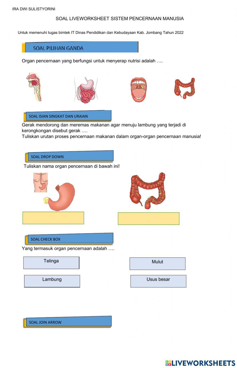 Sistem Pencernaan Manusia