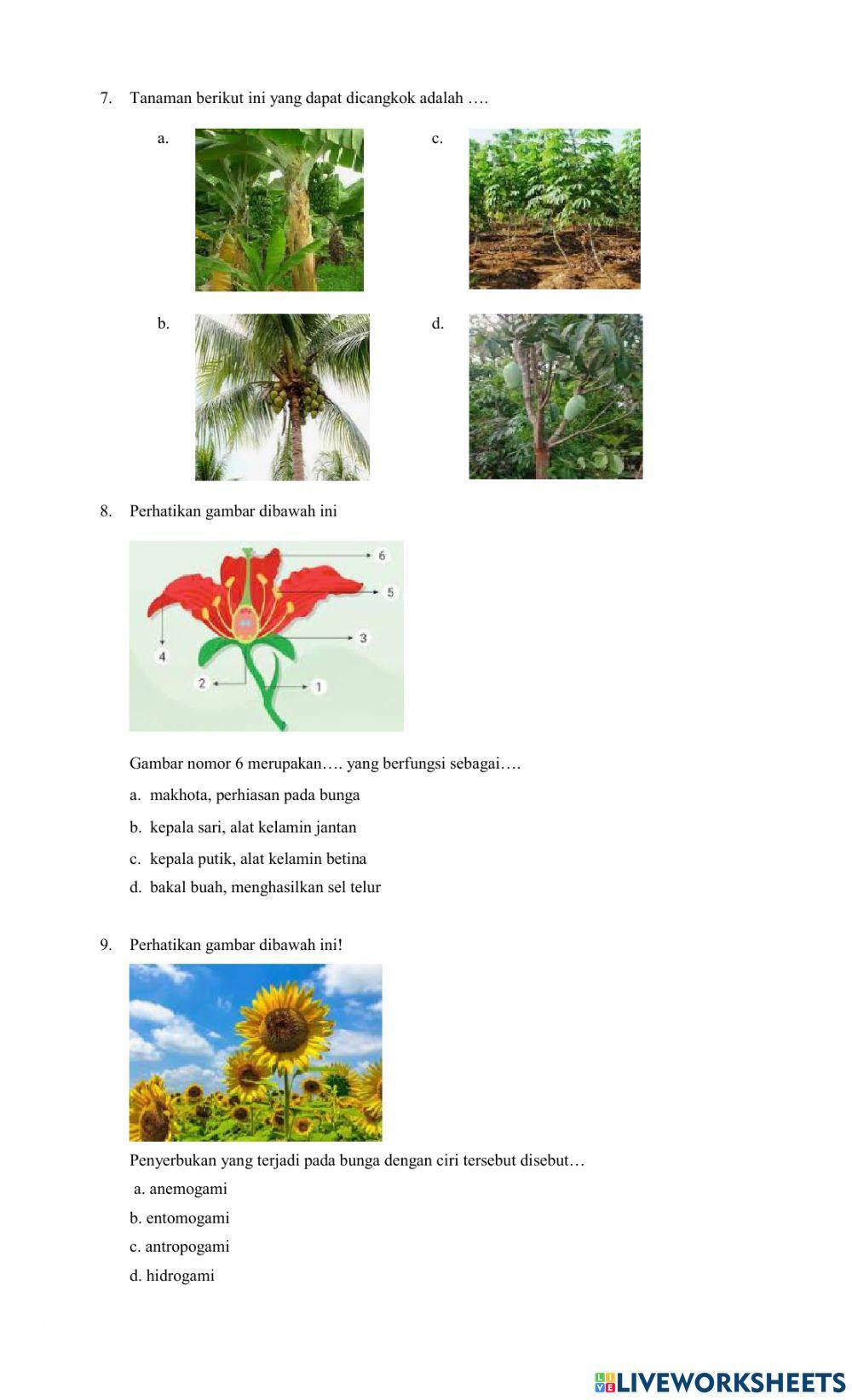 Sistem Reproduksi Pada Tumbuhan dan Hewan