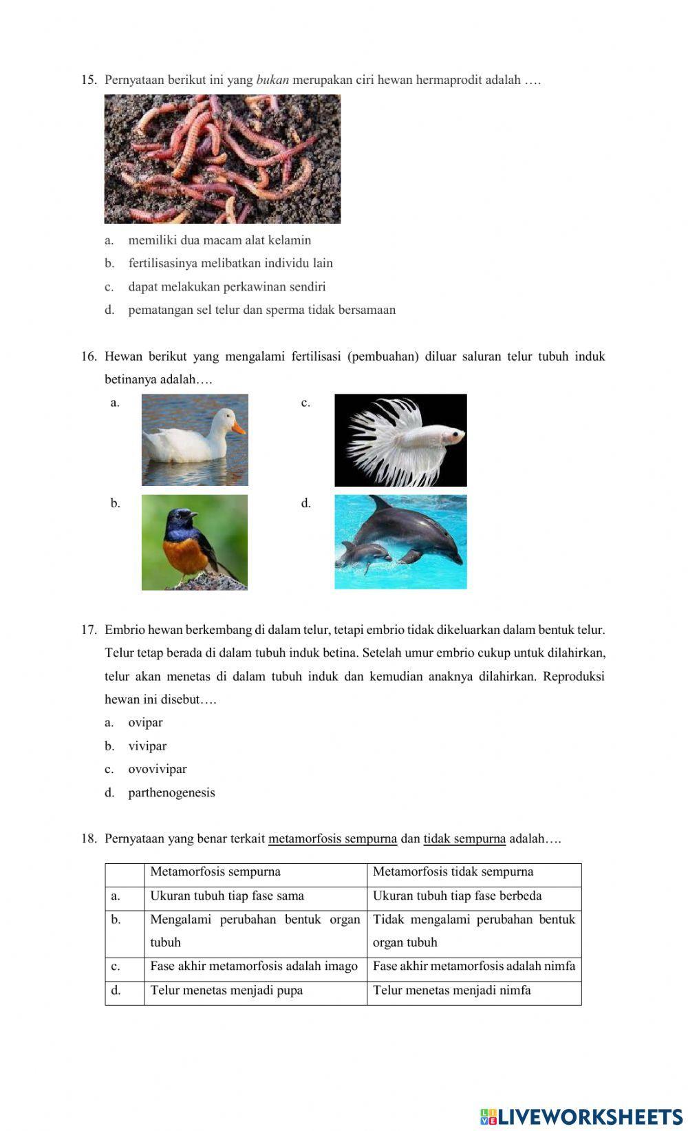 Sistem Reproduksi Pada Tumbuhan dan Hewan