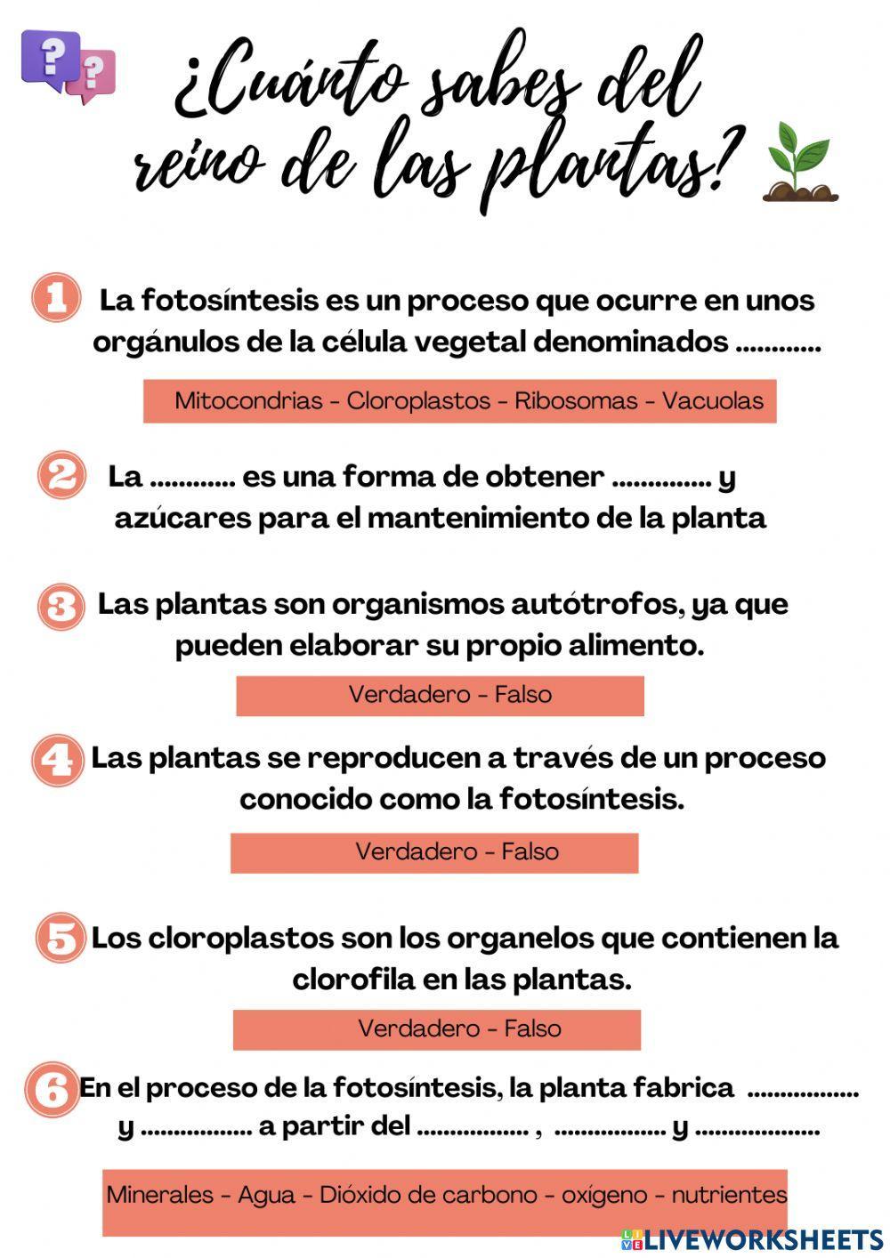 El reino de las plantas