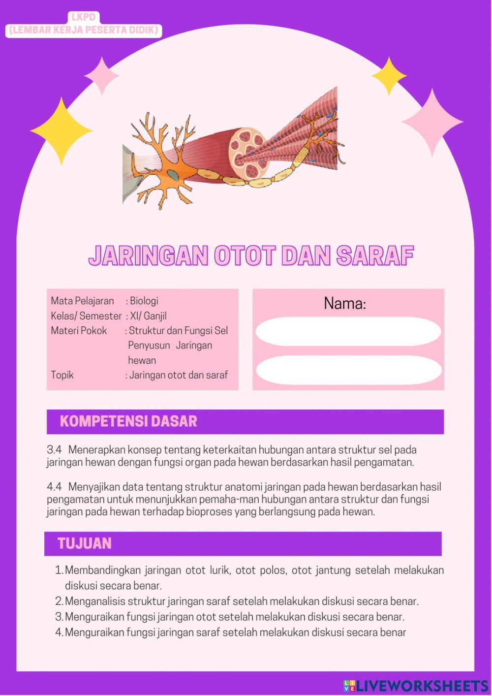 Jaringan Otot dan Saraf