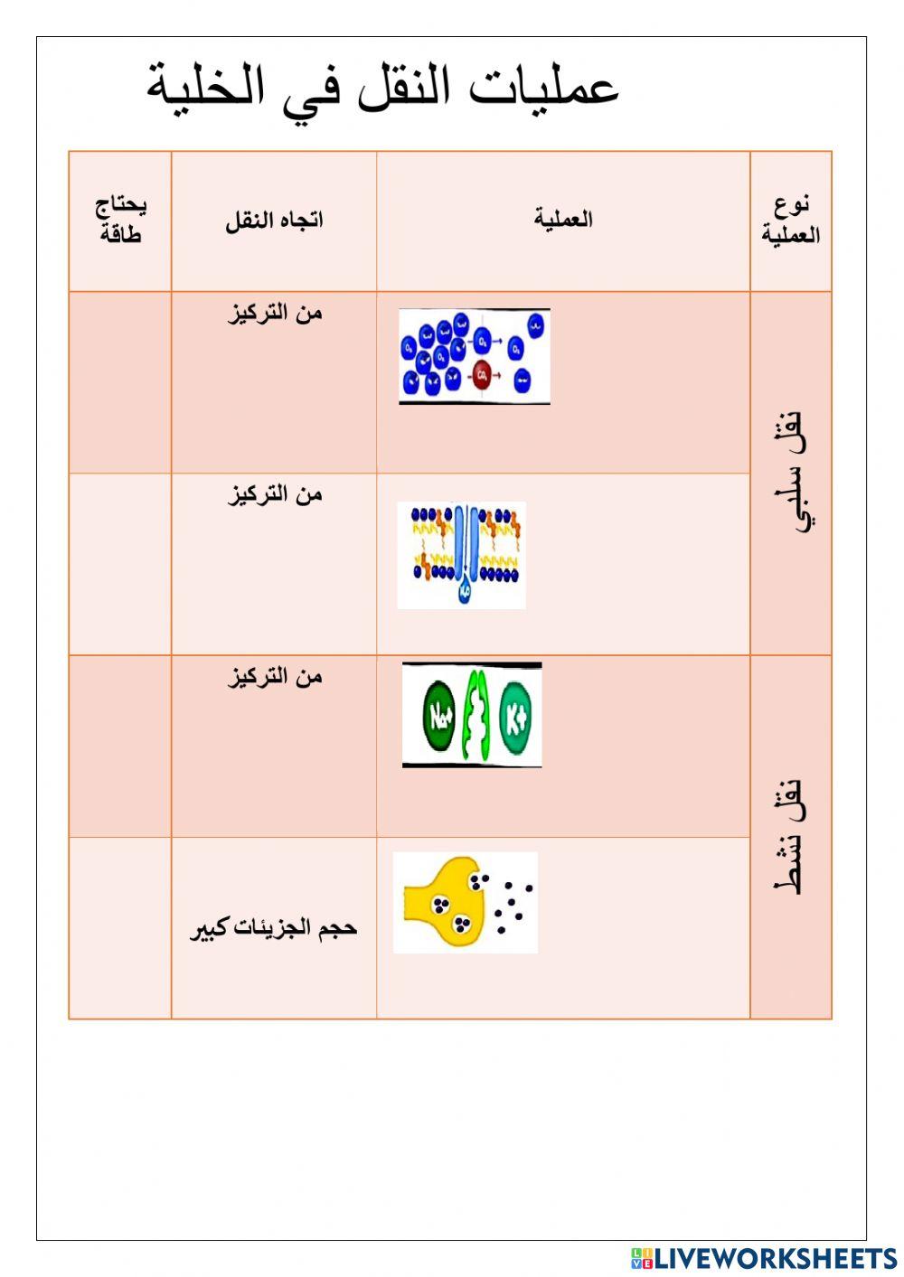 الخلايا النباتية والحيوانية الخلايا النباتية والحيوانية