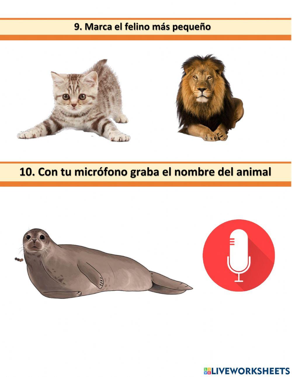 Animales