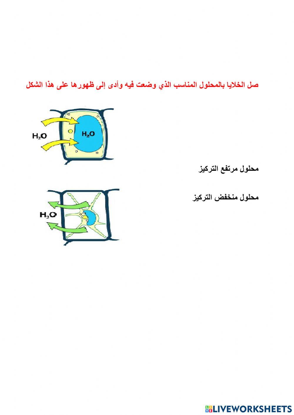 اعتماد الكائنات الحية على الخاصية الاسموزية