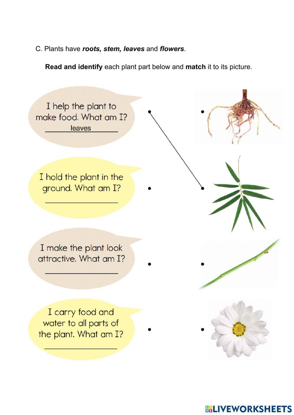 2145907 Plants Are Living Things Paul 2145907-plants-are-living-things-paul