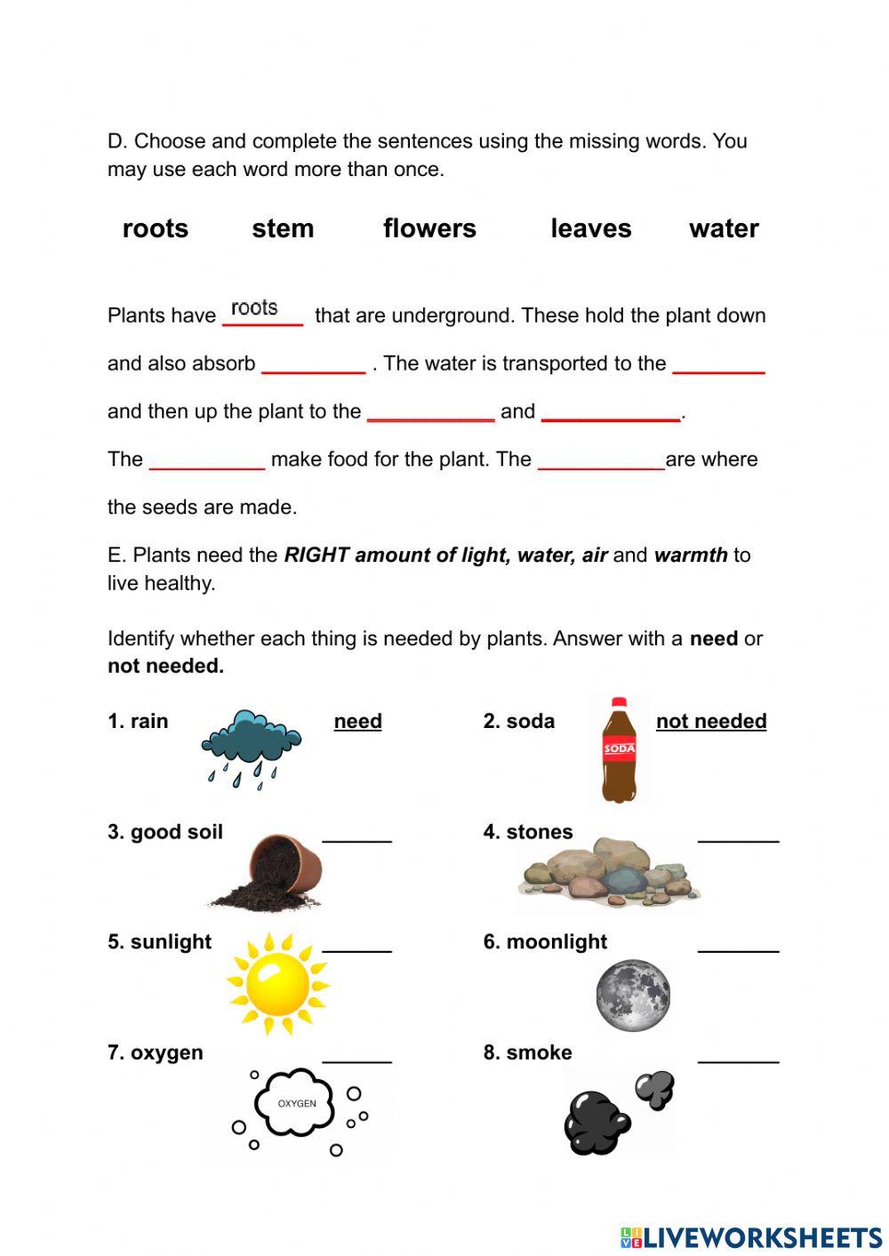 2145907 Plants Are Living Things Paul 2145907-plants-are-living-things-paul