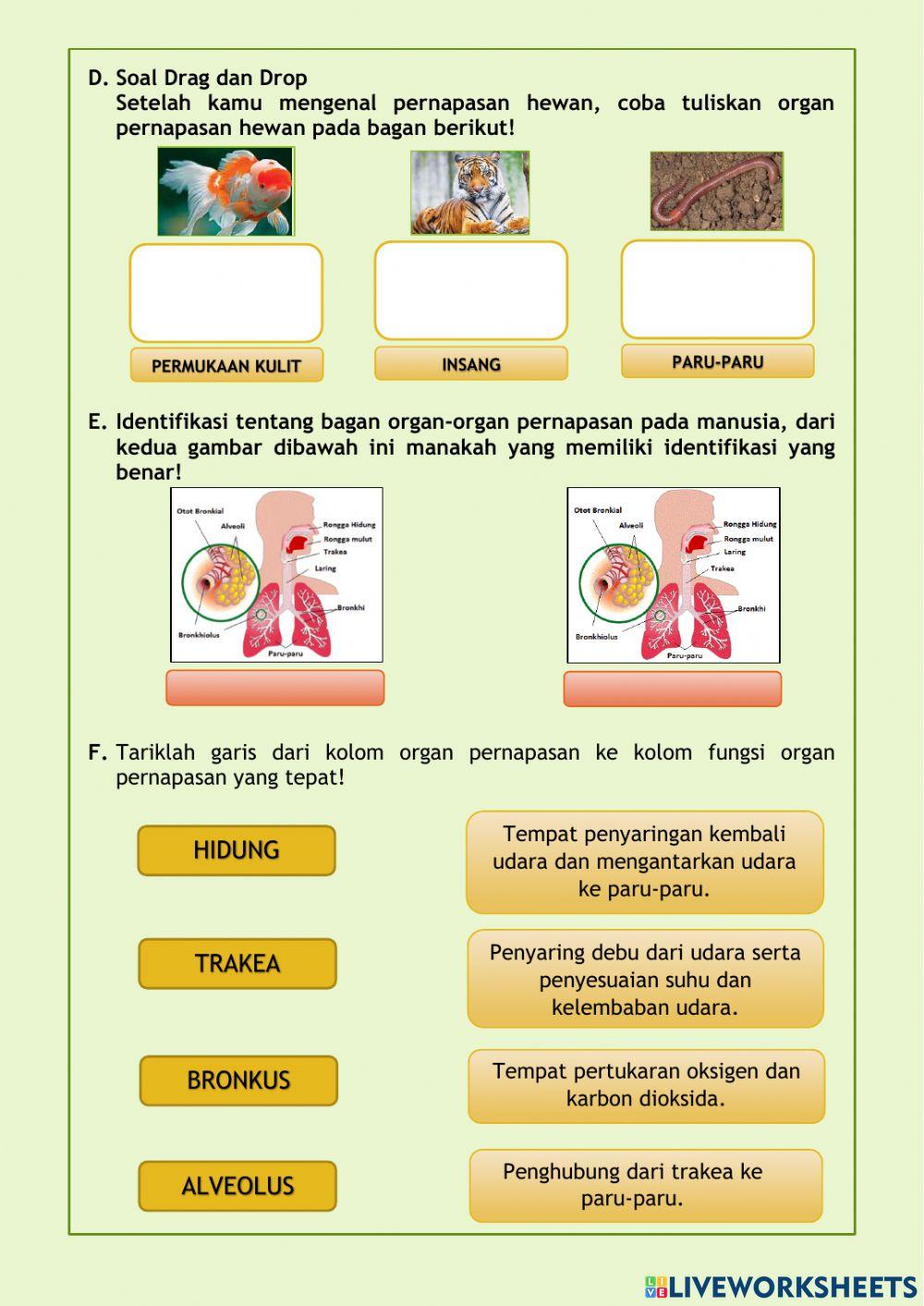 Kelas 5 tema 2 subtema 1- ipa