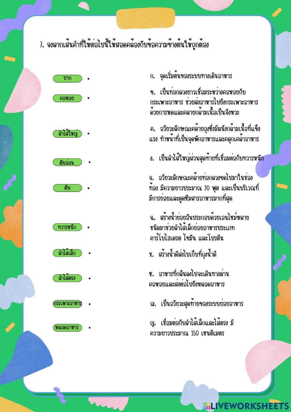 ระบบย่อยอาหารในมนุษย์