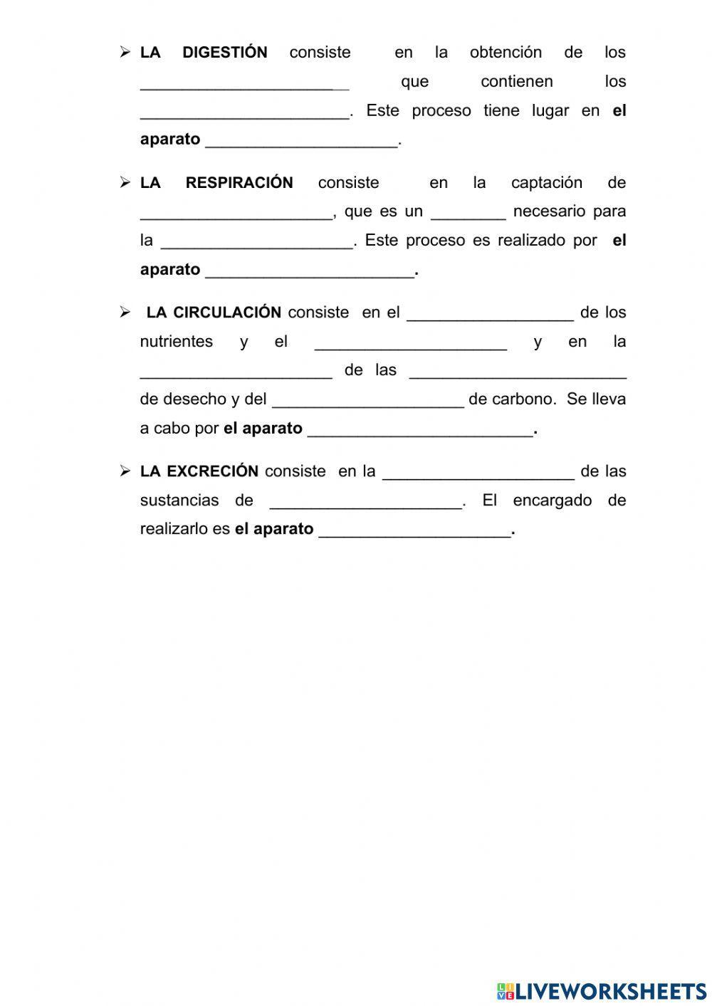 La nutrición en los animales