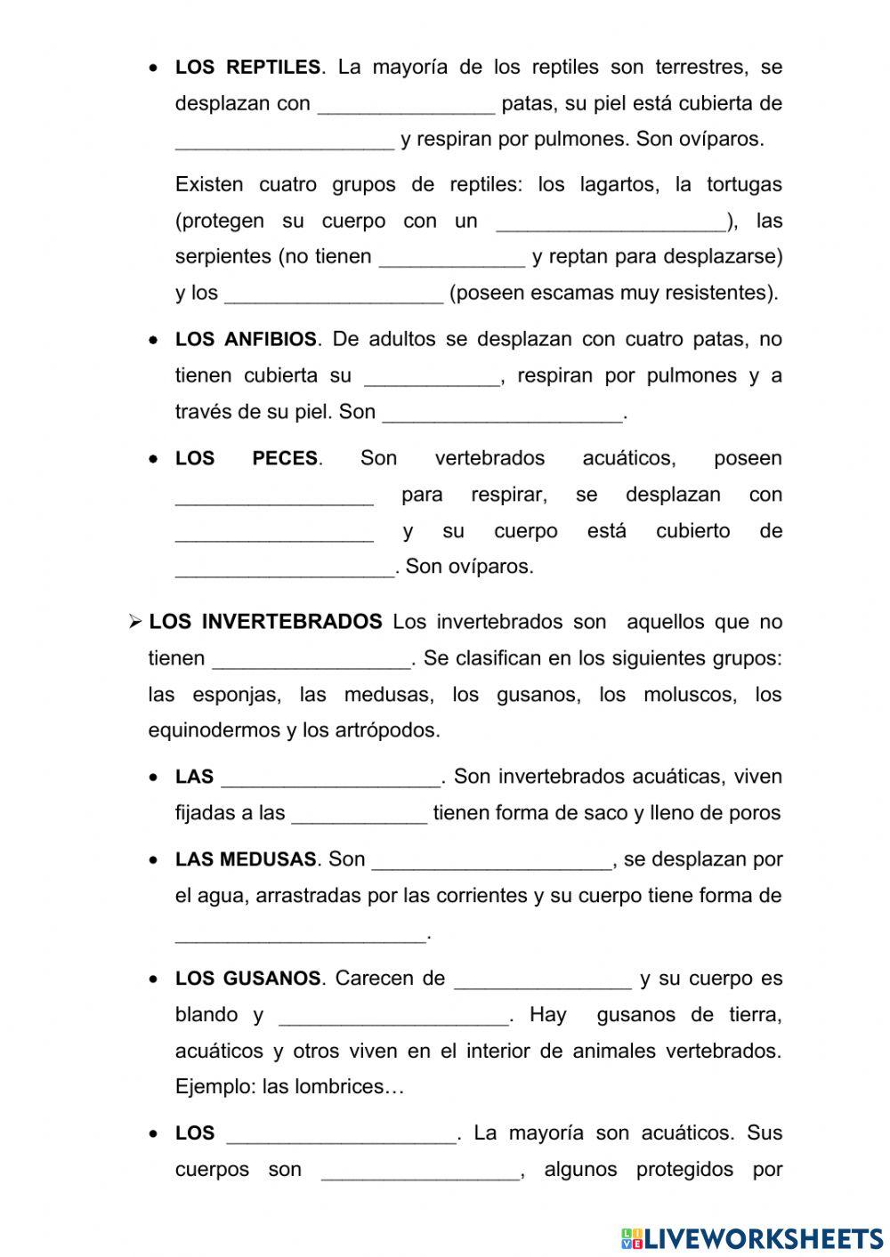 Clasificación de los animales