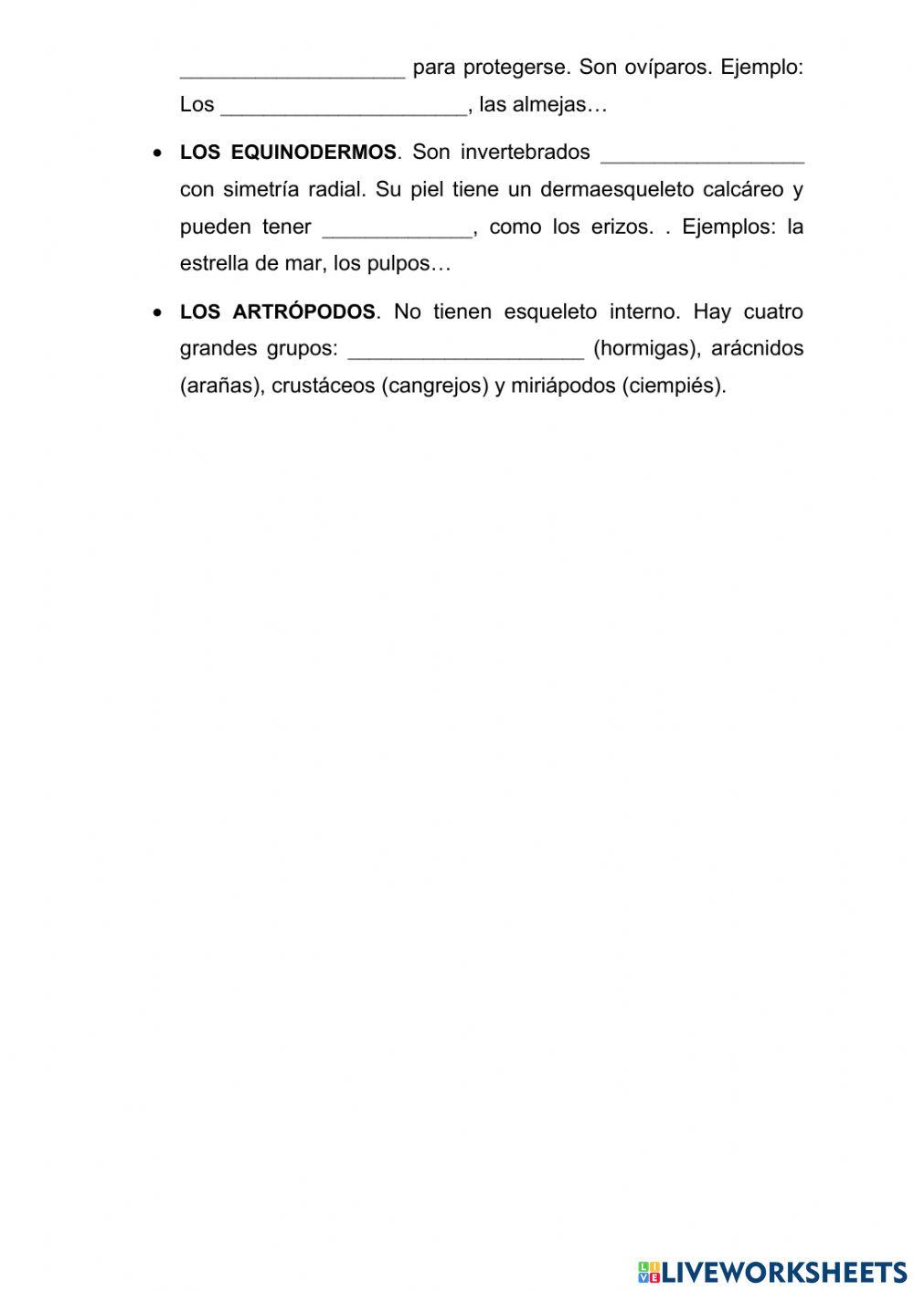 Clasificación de los animales