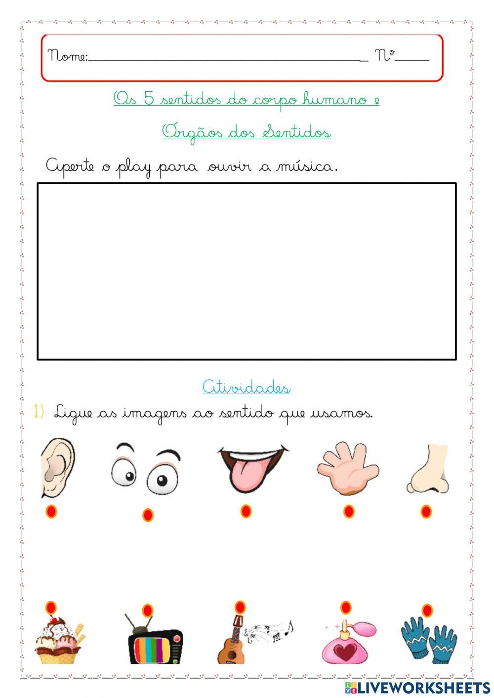 Os 5 sentidos do corpo humano