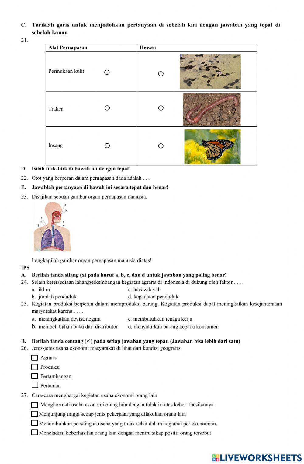 PTS Tema 2 SDN 226 Palembang