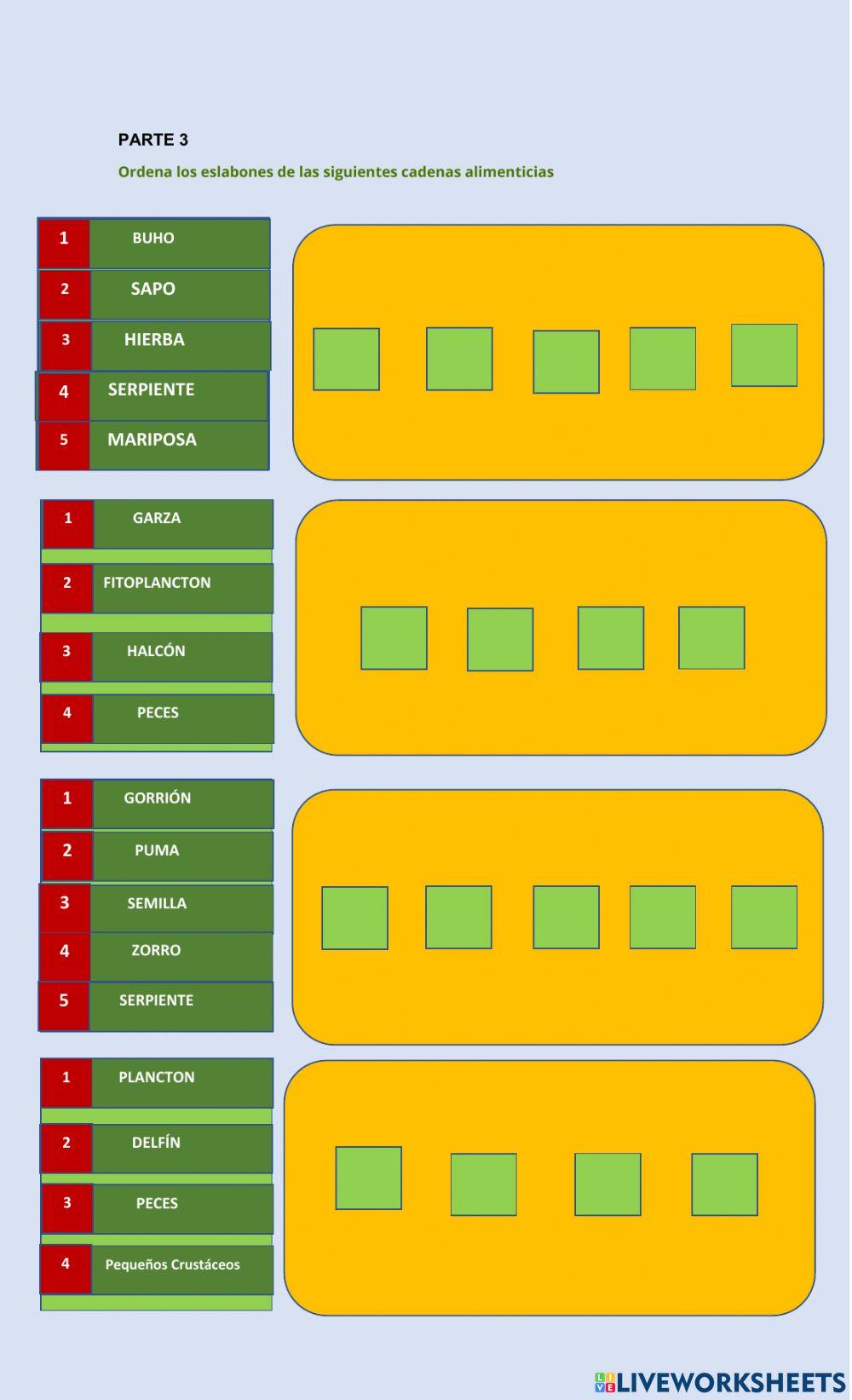 Hoja de trabajo de Materia y Energía