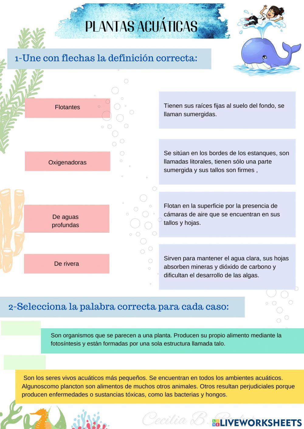 Plantas acuáticas