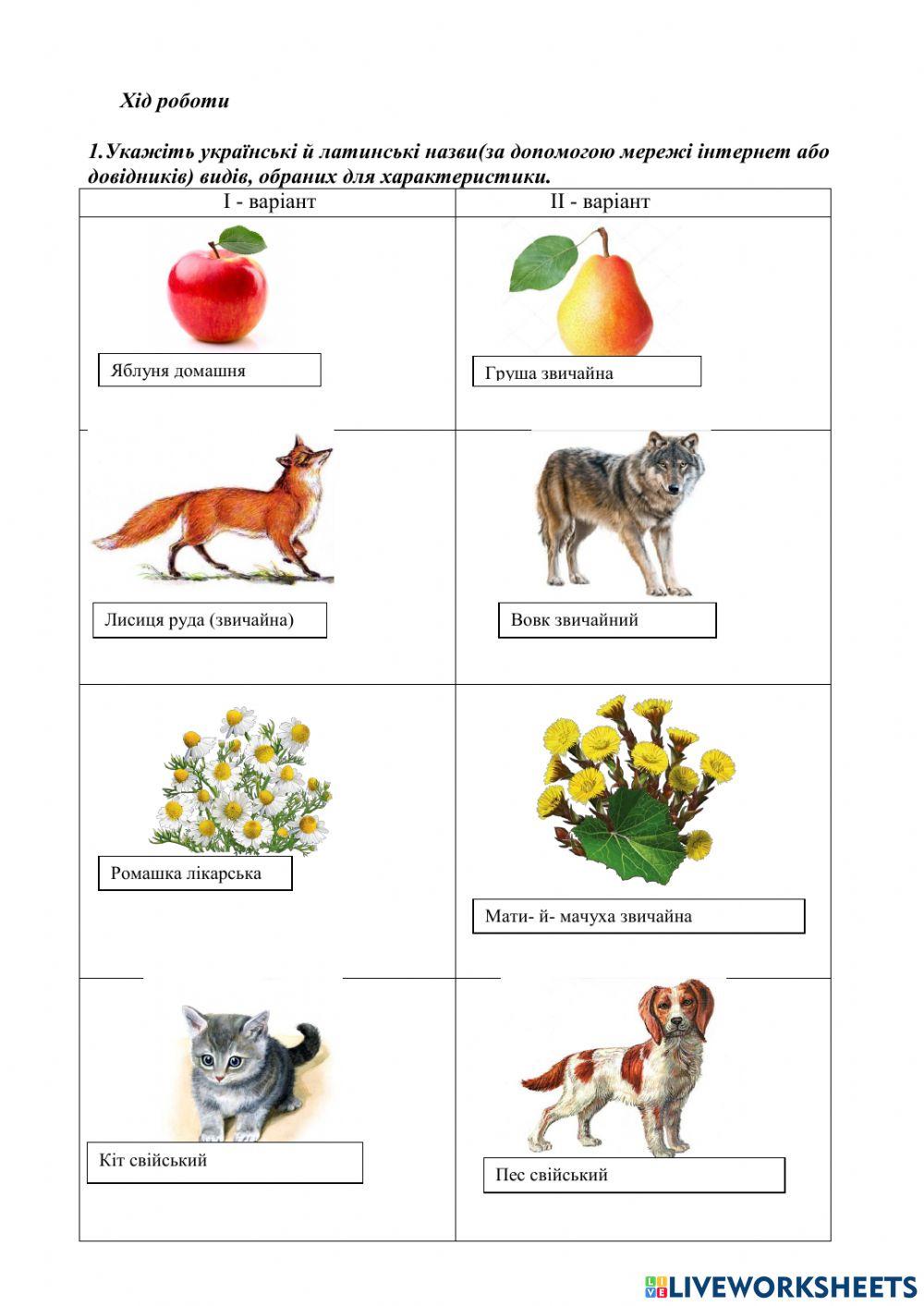 Лабораторна робота 1  визначення таксономічного положення виду в системі органічного світ
