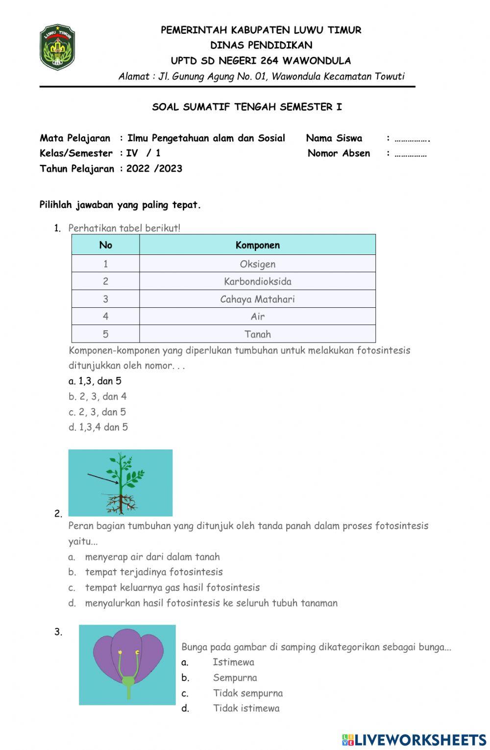 Sumatif Tengah Semester 1 IPAS