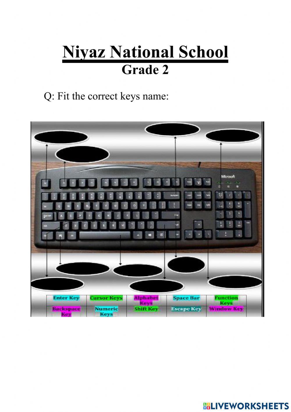 Live Worksheets On Types Of Computer