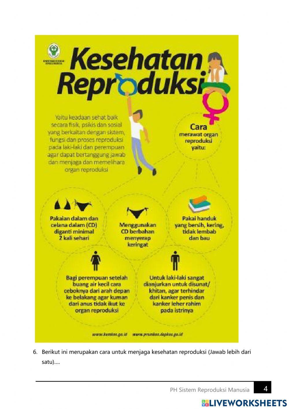 PH Sistem Reproduksi 9A