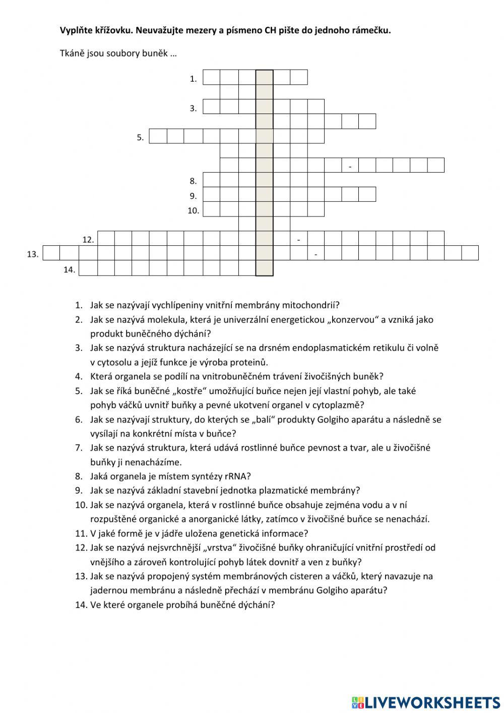 Křížovka - buňka