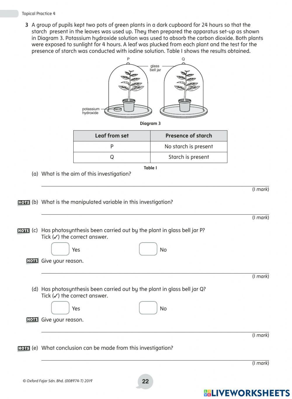 Y4 Revision topic - plants