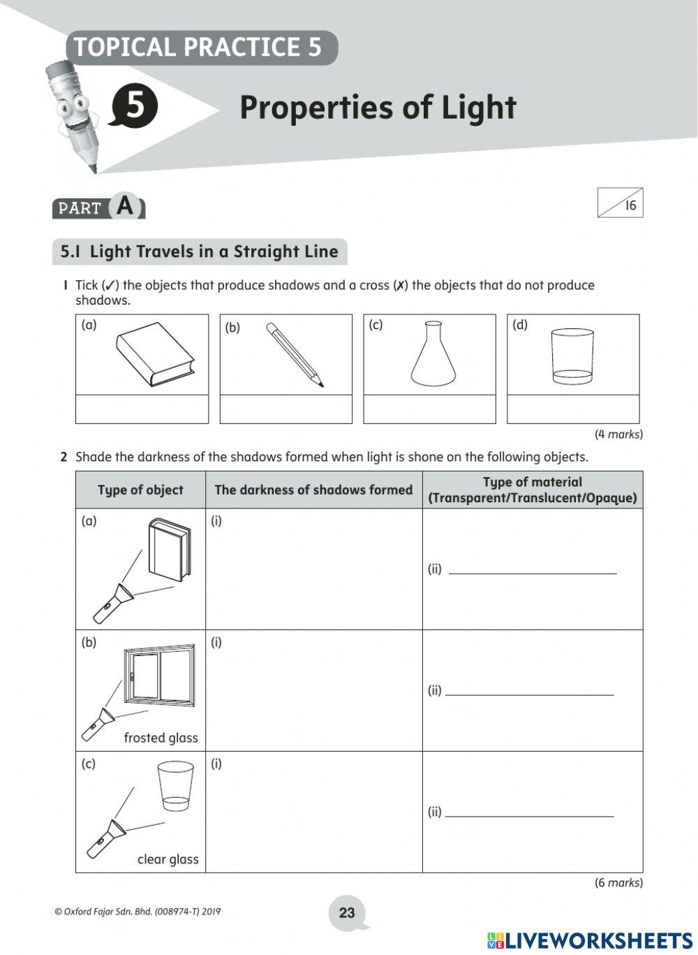 Y4 Revision topic - plants