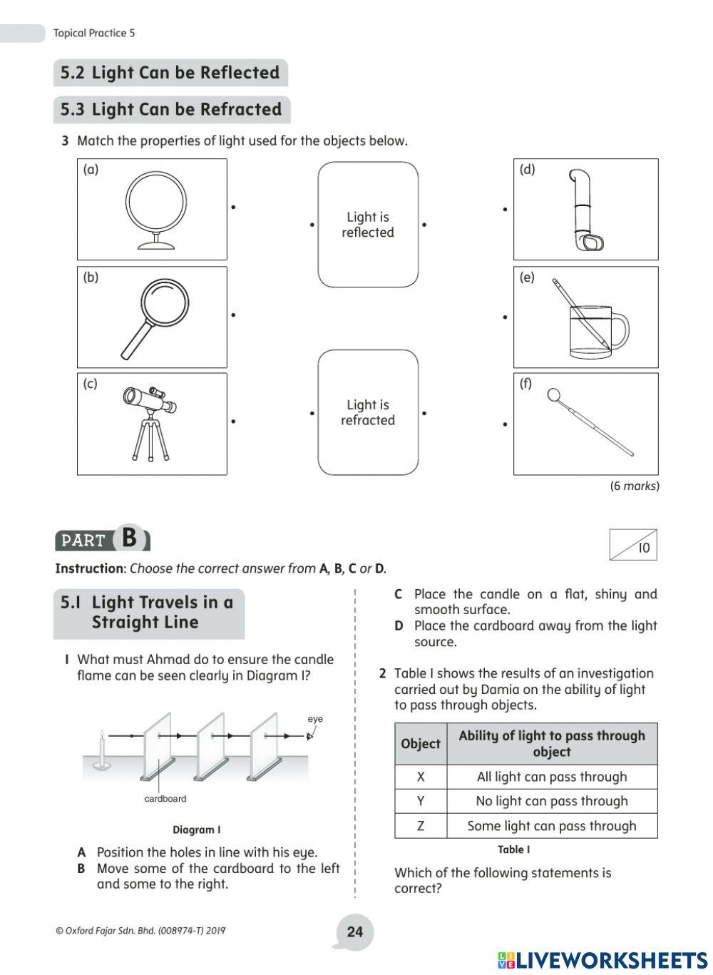 Y4 Revision topic - plants