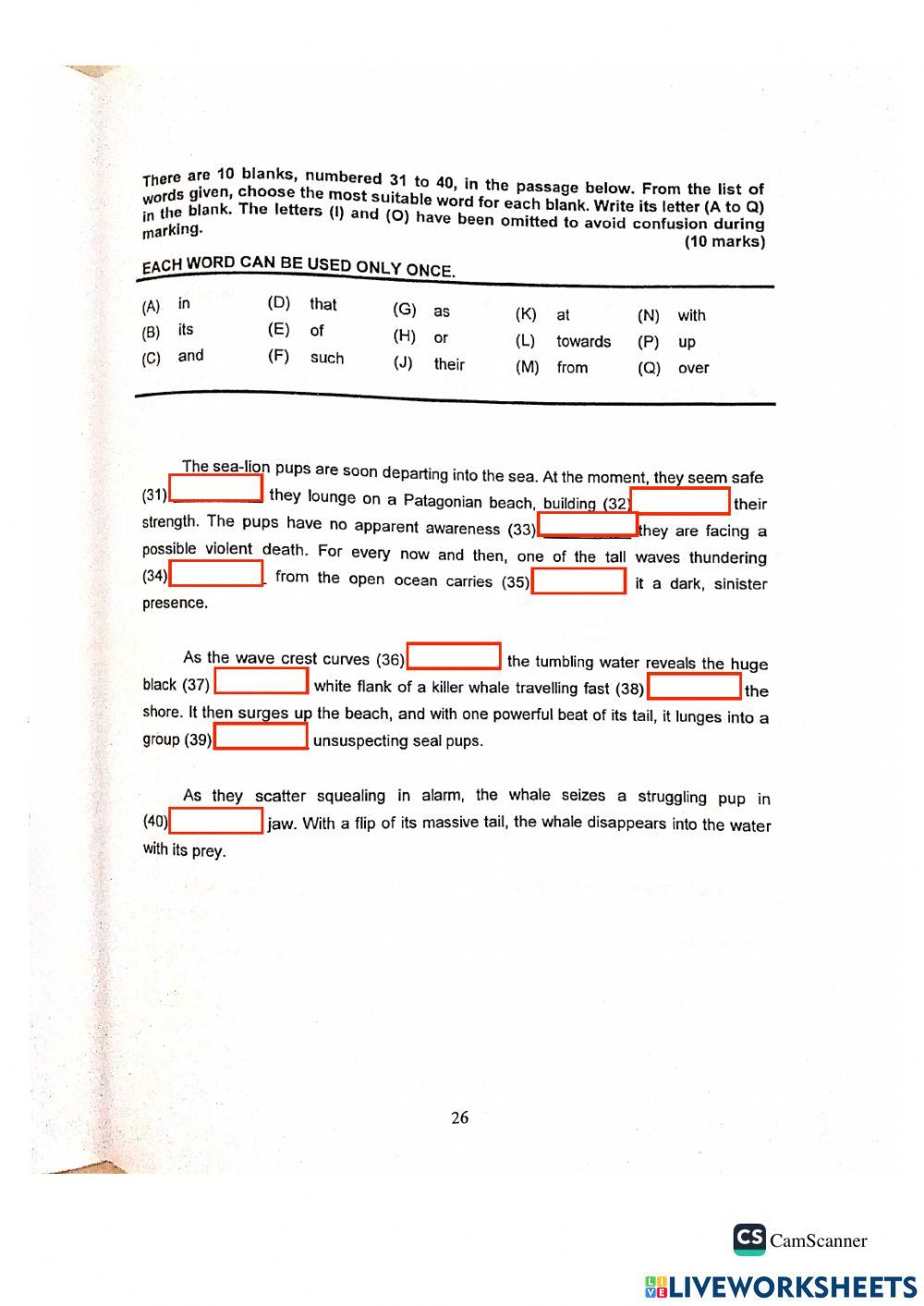 2021 Week 24 MOCK TEST p5-6 PART 2