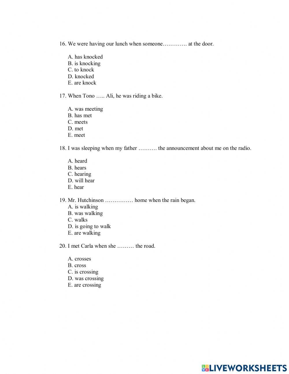 Past Continuous Tense