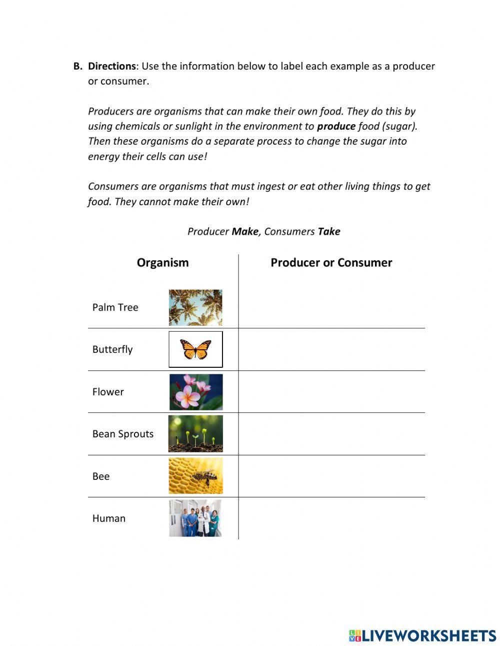 Characteristics of Living Things Review